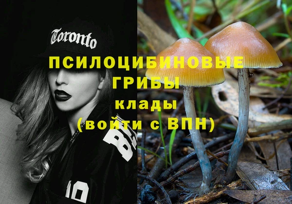 метамфетамин Богородицк