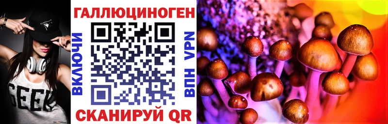 наркота  Белокуриха  Галлюциногенные грибы Psilocybine cubensis 